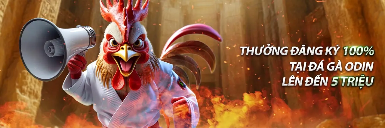 Đội ngũ hỗ trợ chuyên nghiệp của bo gdaso