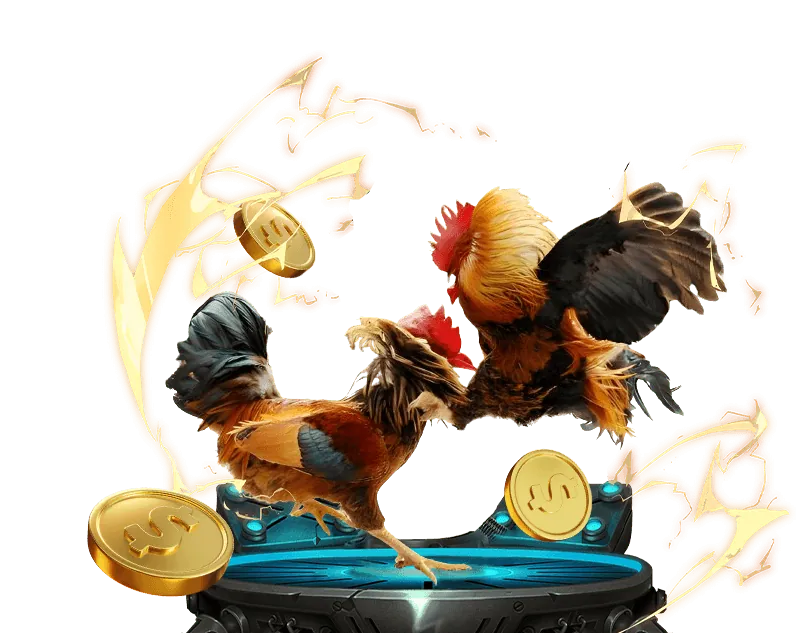 Giao diện đặt cược đá gà bo gdaso